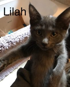 lilah